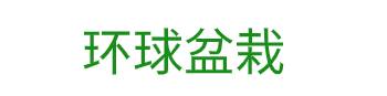 环球国际